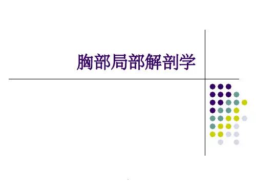 胸部局解(1)