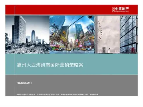 中原惠州大亚湾凯南国际营销策略案 (2)共180页