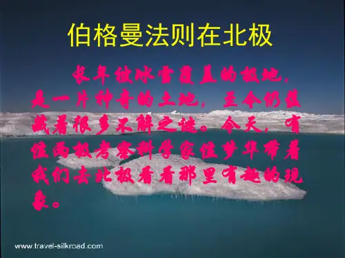 《伯格曼法则在北极》ppt课件 