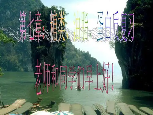 糖类、油脂、蛋白质复习PPT 人教版