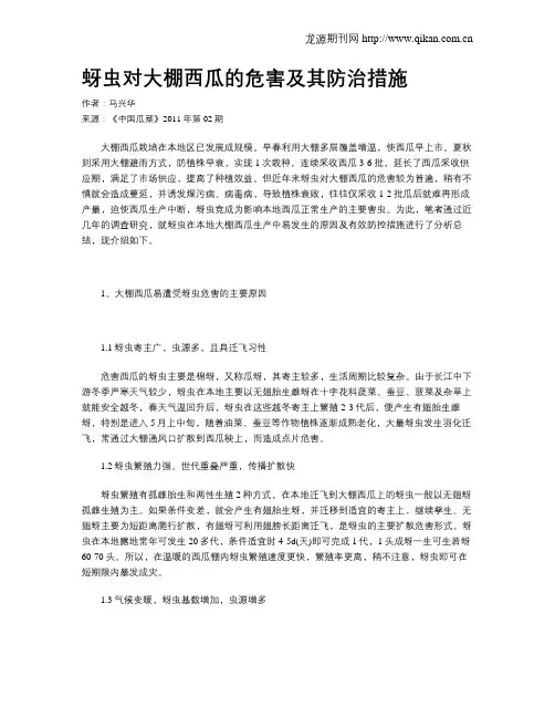 蚜虫对大棚西瓜的危害及其防治措施