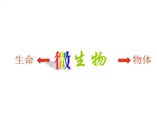 微生物知识培训