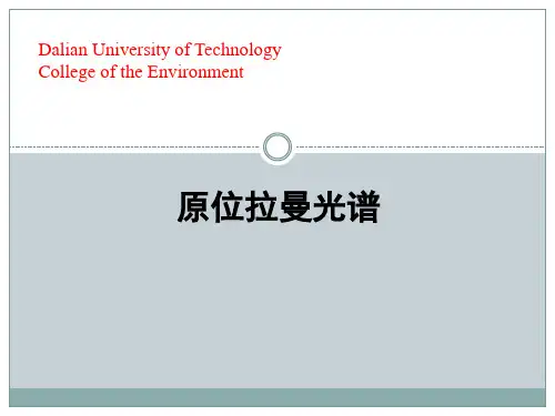 原位拉曼光谱在线分析