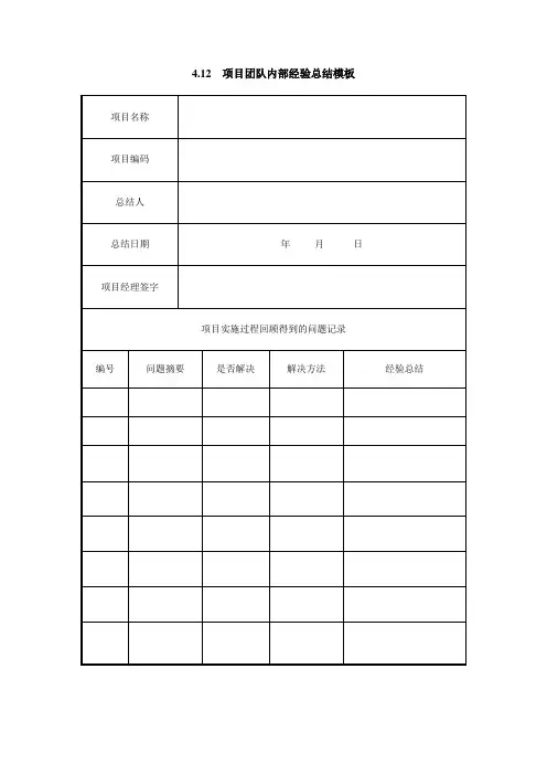 项目团队内部经验总结模板