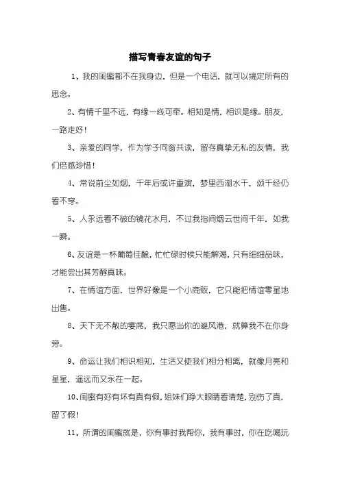 描写青春友谊的句子
