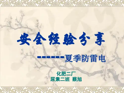 夏季防雷电安全经验分享