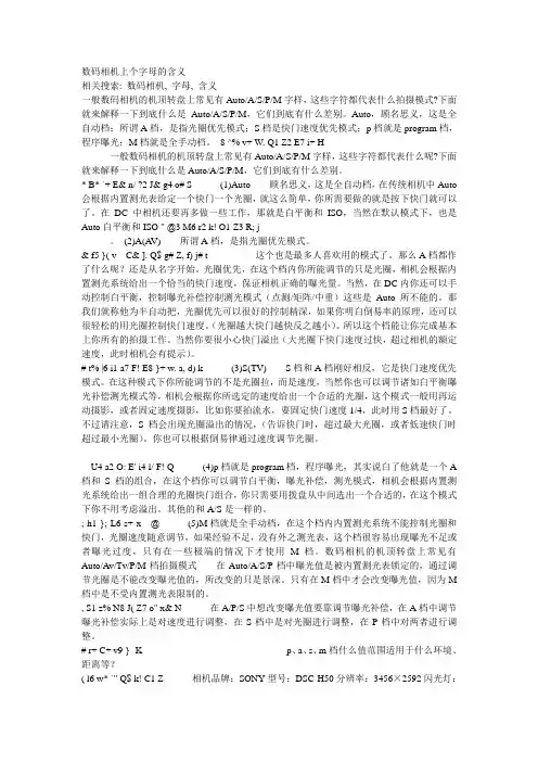 数码相机上个字母的含义