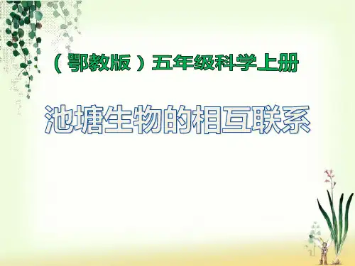 《池塘生物的相互联系》鄂教版五年级科学上册课件ppt文档(2篇)
