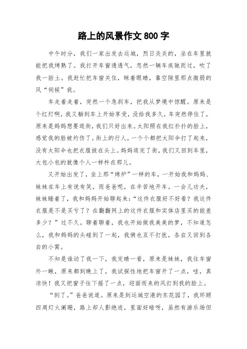 路上的风景作文800字_作文