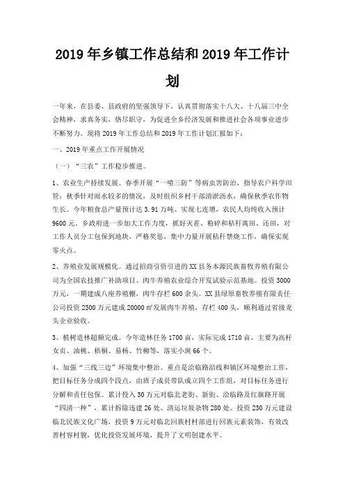 最新-2019年乡镇工作总结和2019年工作计划 精品