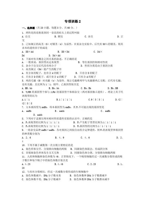 6专项训练2