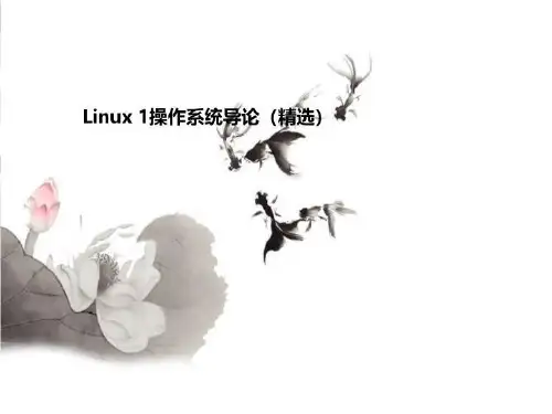Linux 1操作系统导论(精选)