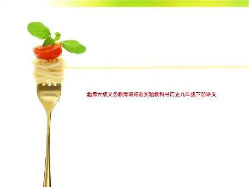 北师大版义务教育课标准实验教科书历史九年级下册讲义