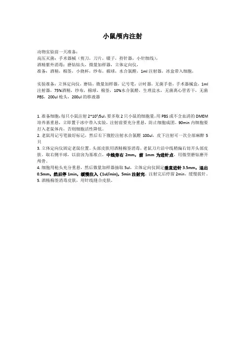小鼠颅内注射