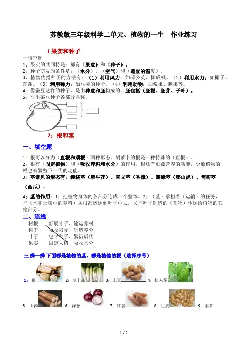 苏教版三年级科学二单元植物的一生作业练习