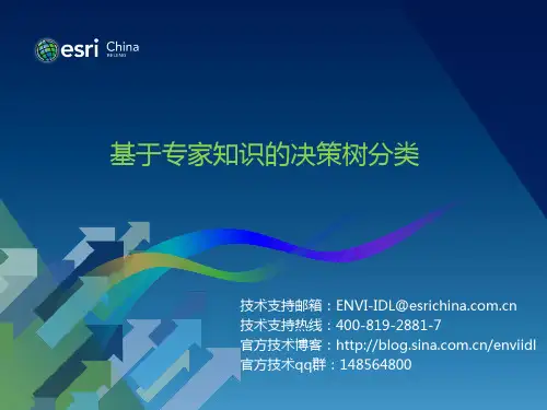 12.基于专家知识决策树分类