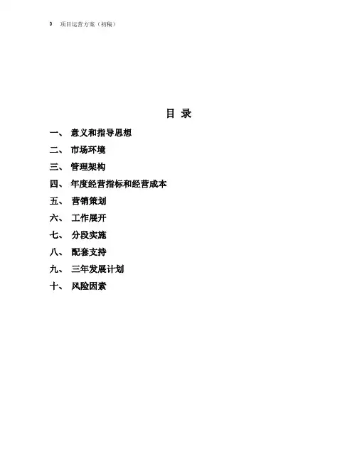 (项目管理)项目运营方案