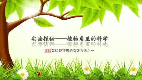 大象版科学六年级上册第二课《在实验中探秘》课件