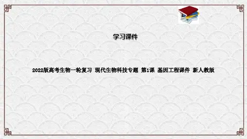 2022版高考生物一轮复习 现代生物科技专题 第1课 基因工程课件 新人教版