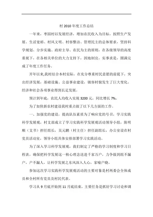 村2010年度工作总结