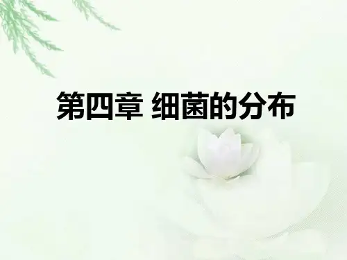 第四章 细菌的分布