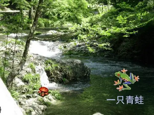 一只青蛙-员工心态激励观念励志公司早会晨会夕会幻灯片投影片培训课件专题材料素材