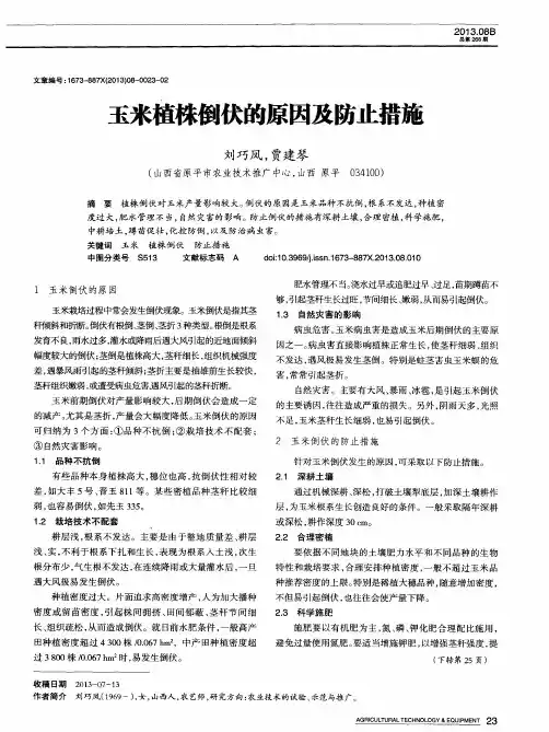 玉米植株倒伏的原因及防止措施