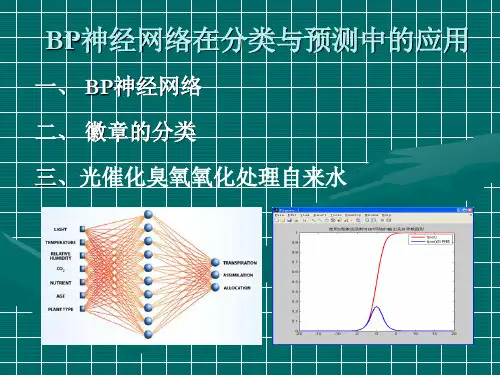 BP神经网络在分类与预测中的应用解析