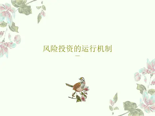 风险投资的运行机制116页PPT