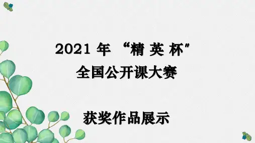 人教部编版九年级上册《我爱这土地》课件 (公开课专用)