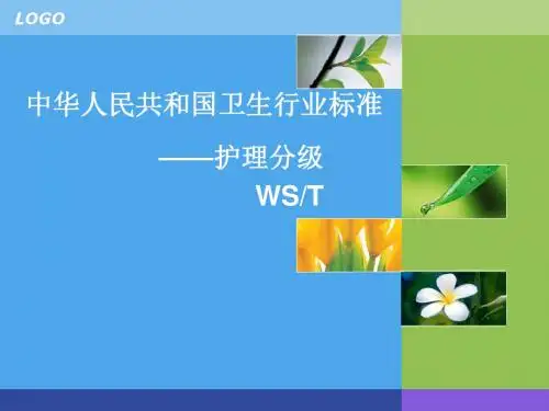 标准_护理分级