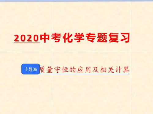 06质量守恒的应用及相关计算
