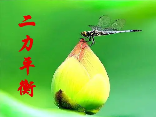 二力平衡