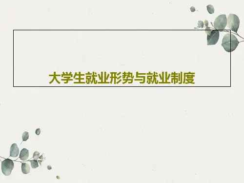 大学生就业形势与就业制度共45页文档