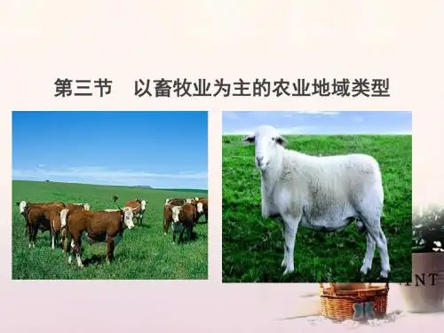 高中地理 第三章 农业地域的形成与发展 3.3 以畜牧业