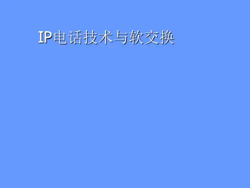 IP电话技术与软交换