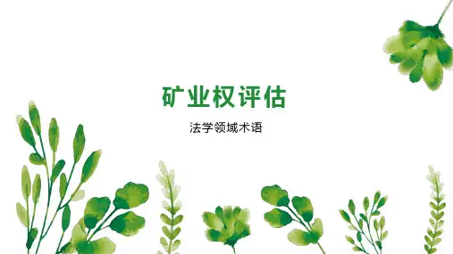 矿业权评估 