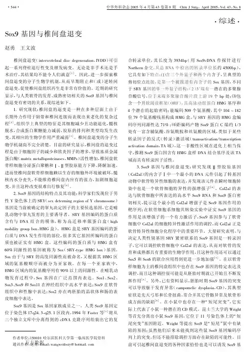 Sox9基因与椎间盘退变