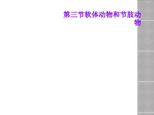 第三节软体动物和节肢动物