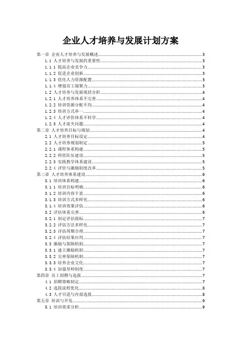 企业人才培养与发展计划方案