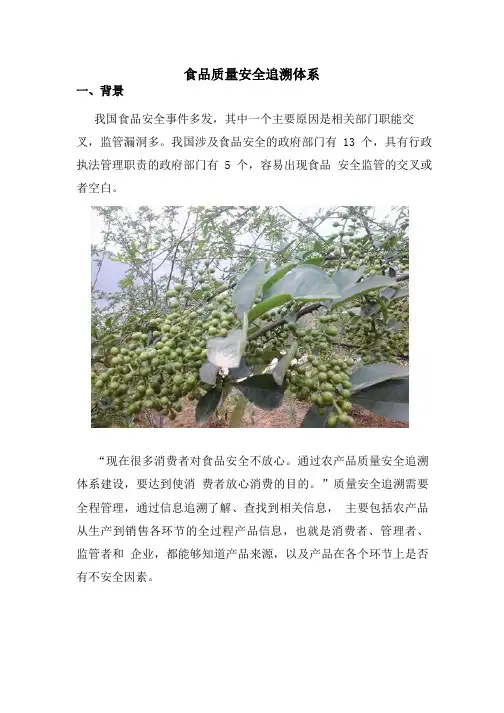 食品质量安全追溯体系