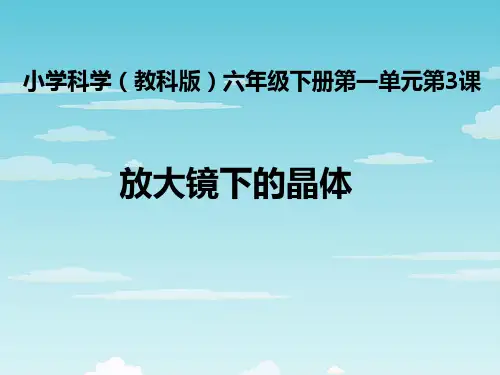 62放大镜下的晶体PPT课件