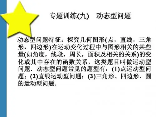 2011中考数学全套复习课件(共52)专题9