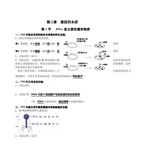 高中生物必修2第三章知识点总结 2
