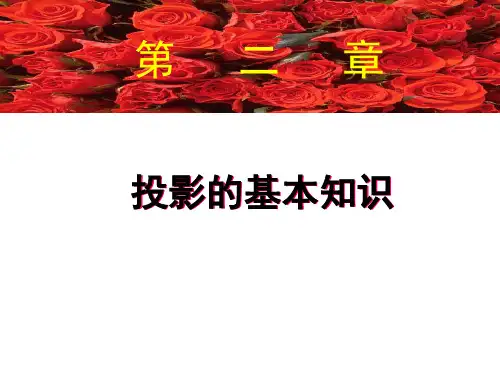土木工程制图讲义投影的基本知识
