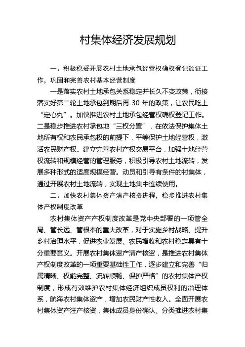 村集体经济发展规划 2