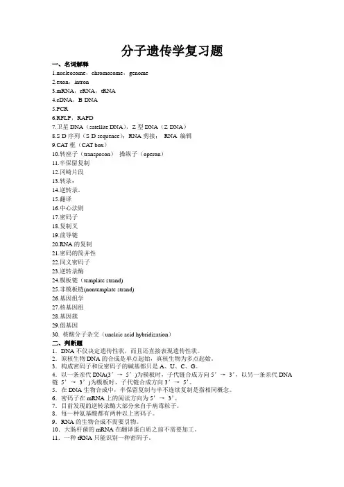 分子遗传学复习题(09)