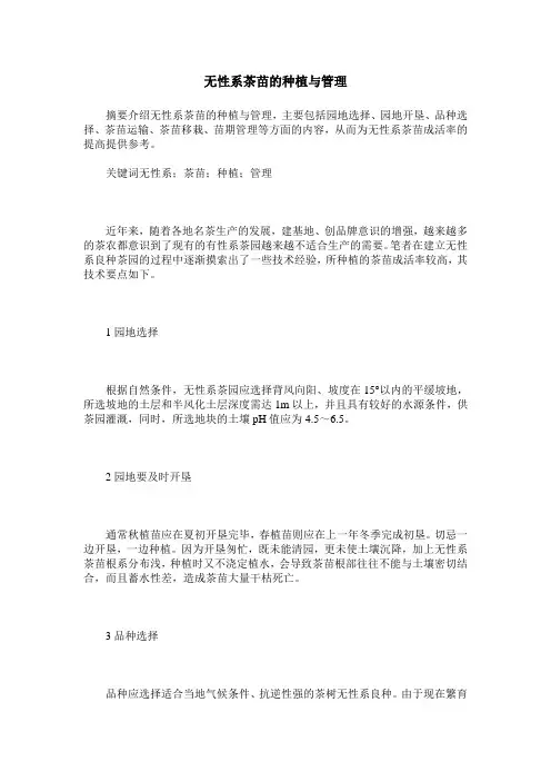 无性系茶苗的种植与管理