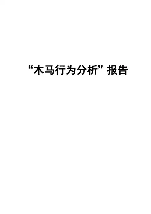 木马行为分析报告