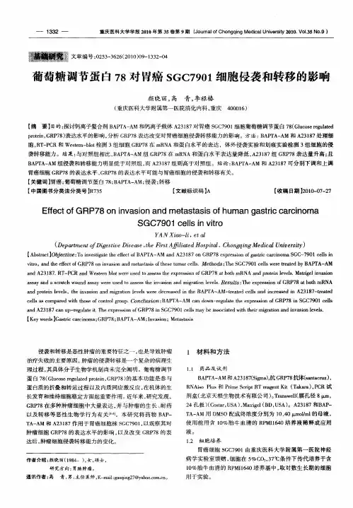 葡萄糖调节蛋白78对胃癌SGC7901细胞侵袭和转移的影响